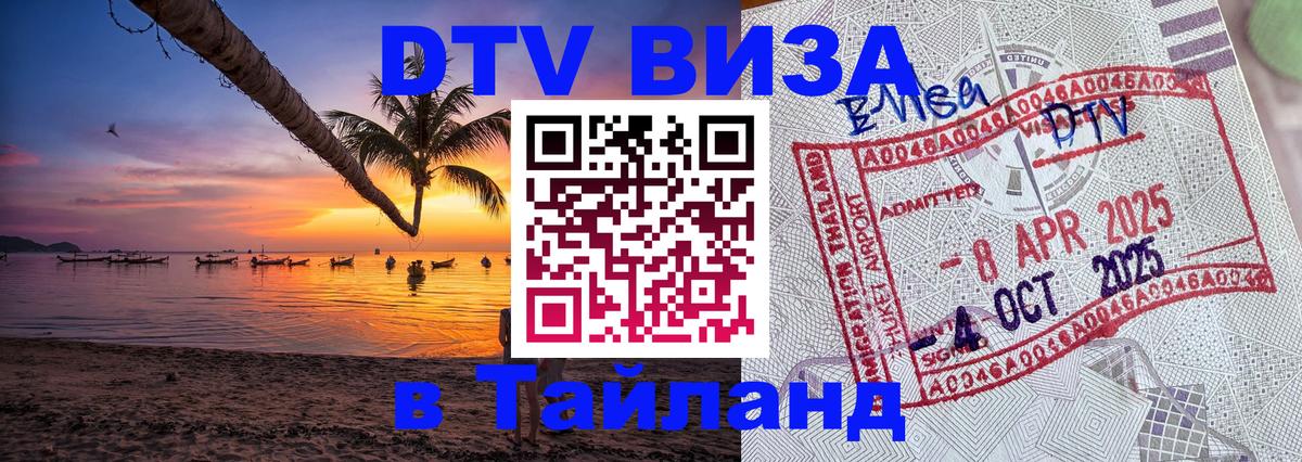 Оформление DTV визы под ключ: стоимость и тарифы, только загранпаспорт - 